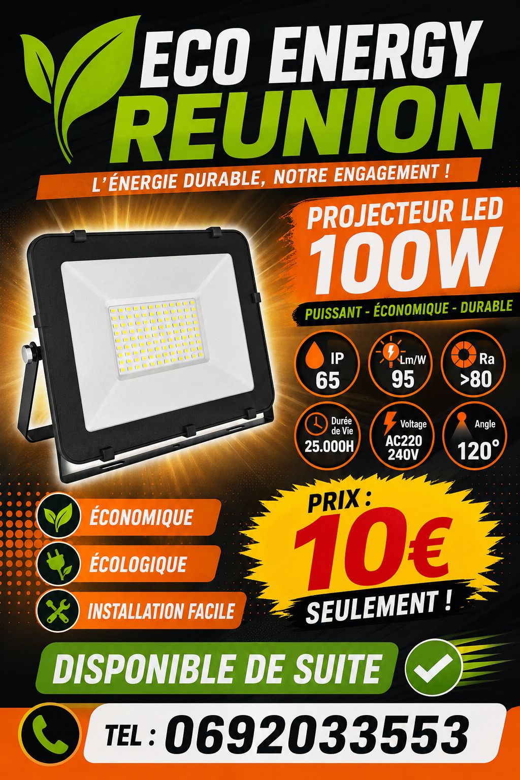 Projecteur LED 10W