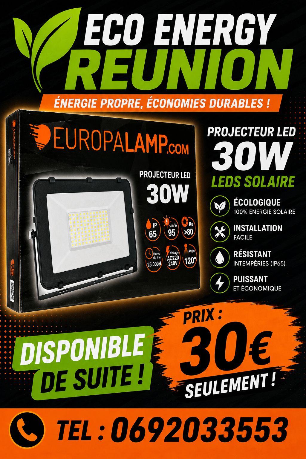 Projecteur LED 30W