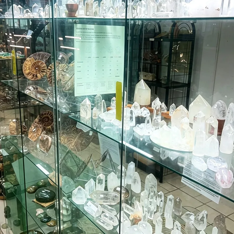 Fossile, spécimen unique